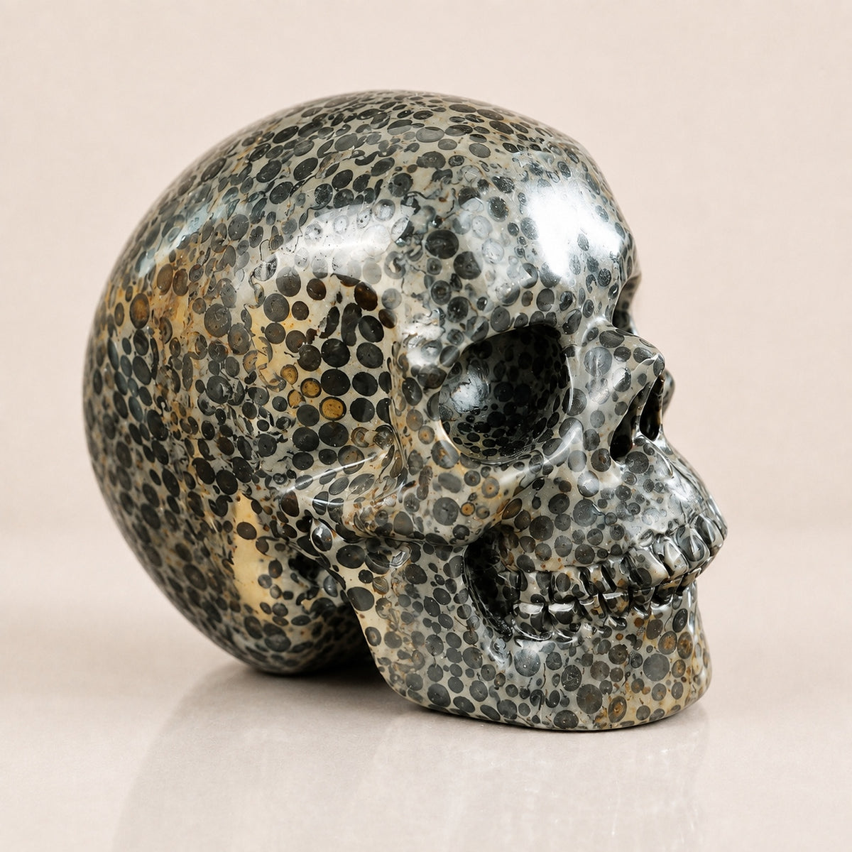 4.5-inch Black Leopard skin jasper Skull