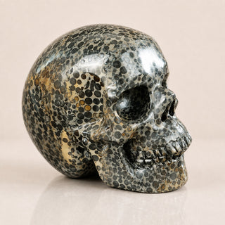4.5-inch Black Leopard skin jasper Skull