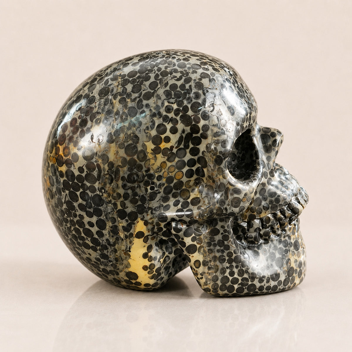4.5-inch Black Leopard skin jasper Skull