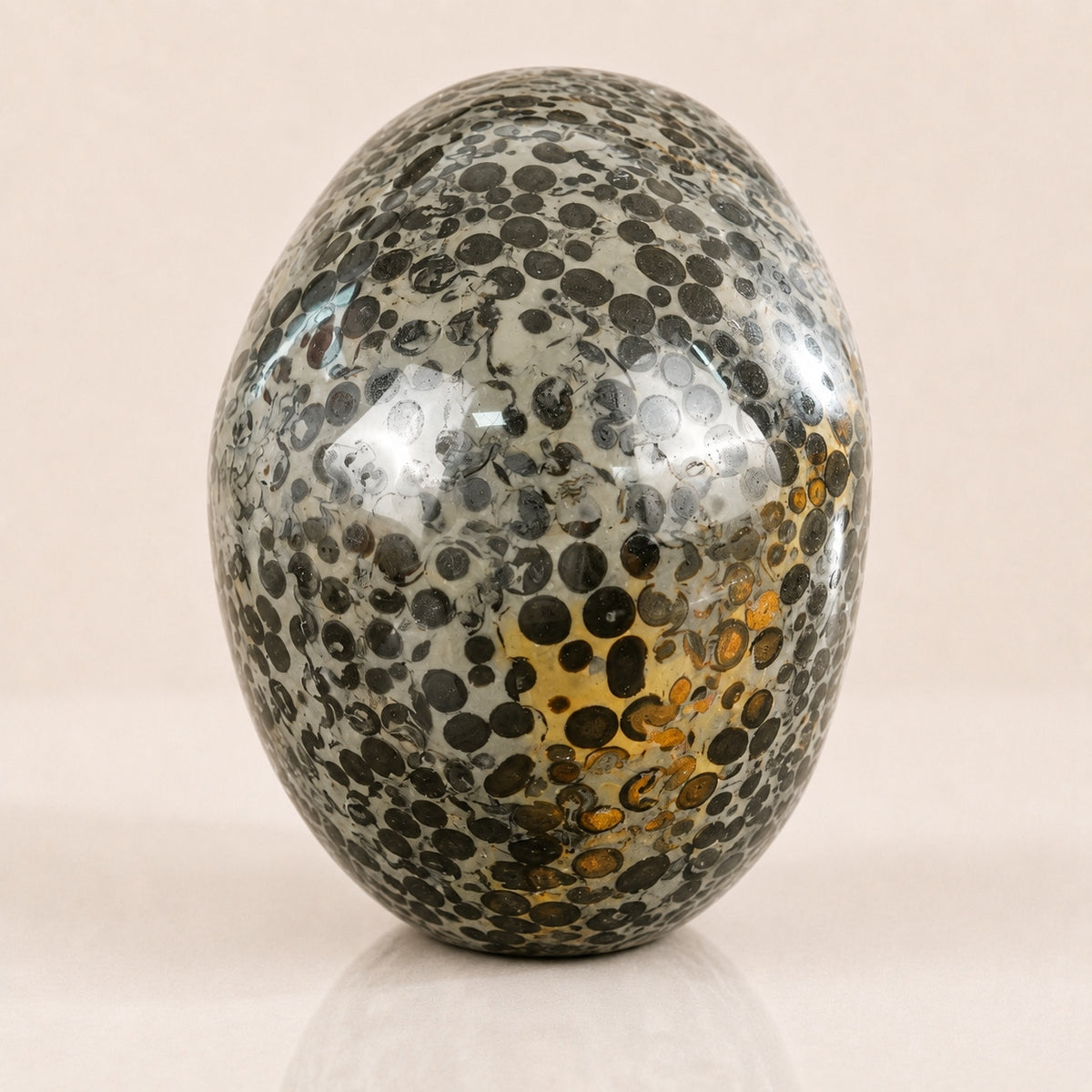 4.5-inch Black Leopard skin jasper Skull