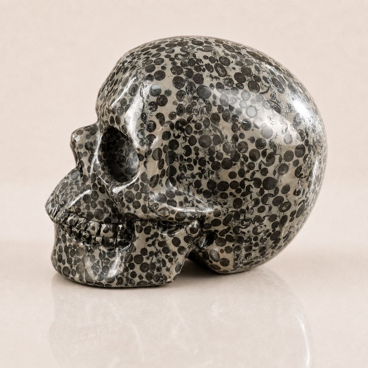 4.5-inch Black Leopard skin jasper Skull