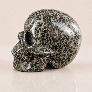 4.5-inch Black Leopard skin jasper Skull