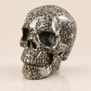 4.5-inch Black Leopard skin jasper Skull