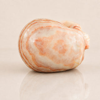 4.5-inch Zebra Jasper Skull