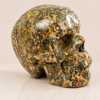 4.5-inch Yellow Leopard skin Skull