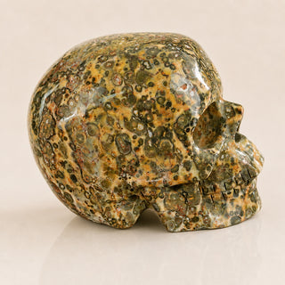4.5-inch Yellow Leopard skin Skull