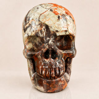 4.5-inch Money agate Skull