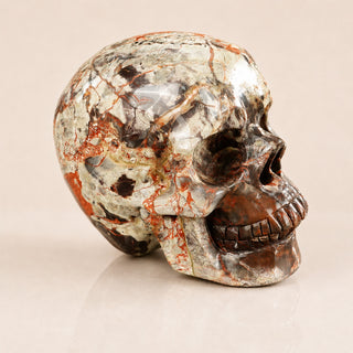 4.5-inch Money agate Skull