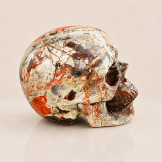4.5-inch Money agate Skull