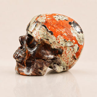 4.5-inch Money agate Skull