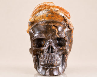 Snail Spiral Fossil Skull