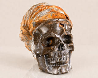 Snail Spiral Fossil Skull
