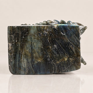 Labradorite Pterosaur
