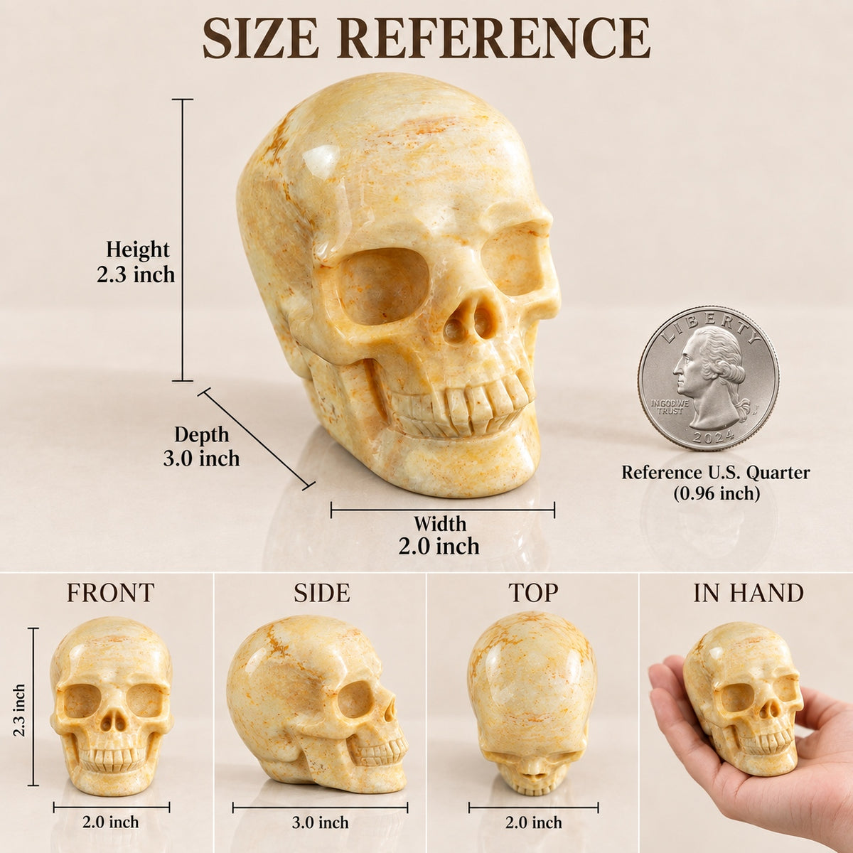 3-inch Coral Fossil Skull
