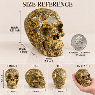 4.5-inch Yellow Leopard skin Skull