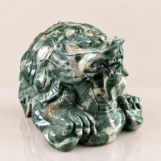 Jiulong Jade Dragon Turtle