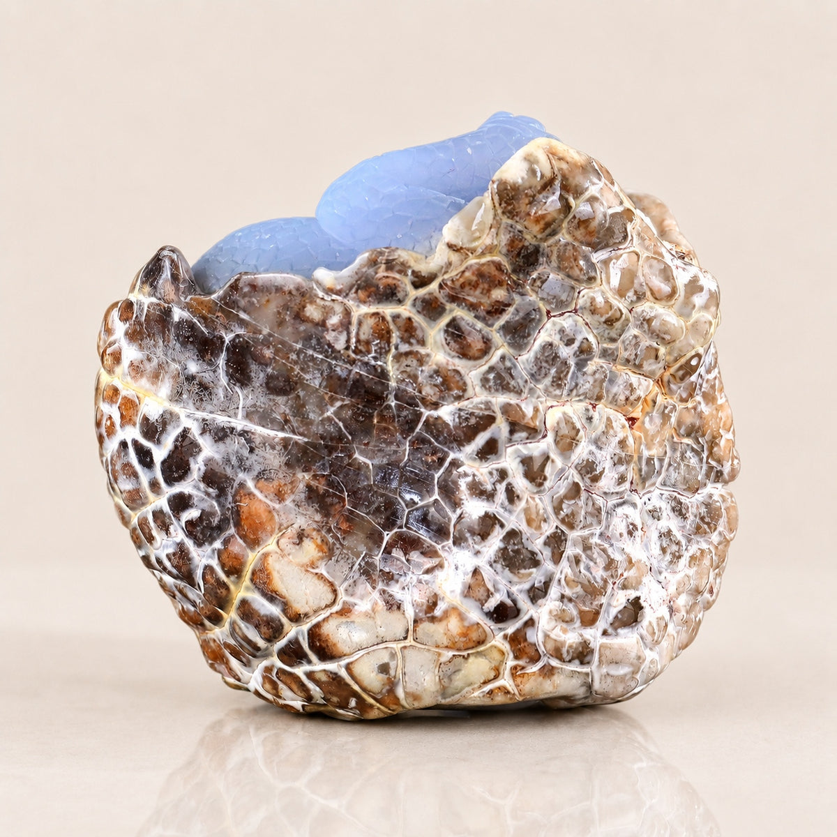 Blue Chalcedony Baby Dragon