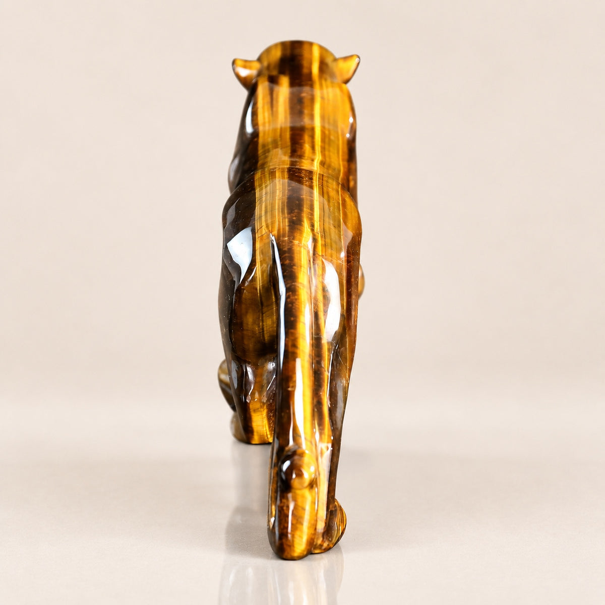 Tiger Eye Leopard