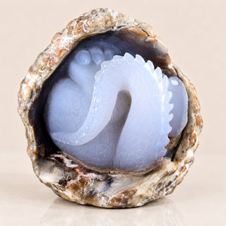 Blue Chalcedony Baby Dragon