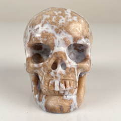 3 Inch Blue Flower Agate Crystal Skull — view 7