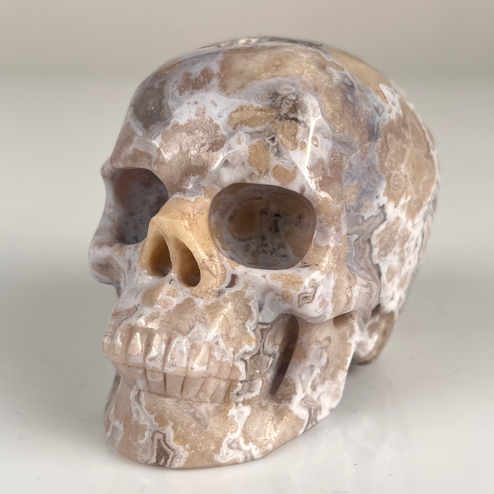 3 Inch Blue Flower Agate Crystal Skull — view 6