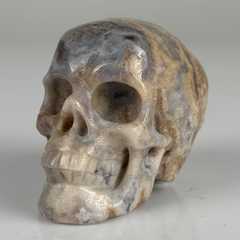 2 Inch Blue Flower Agate Crystal Skull – Skull — view 6