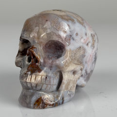 2 Inch Blue Flower Agate Crystal Skull – Skull — view 6