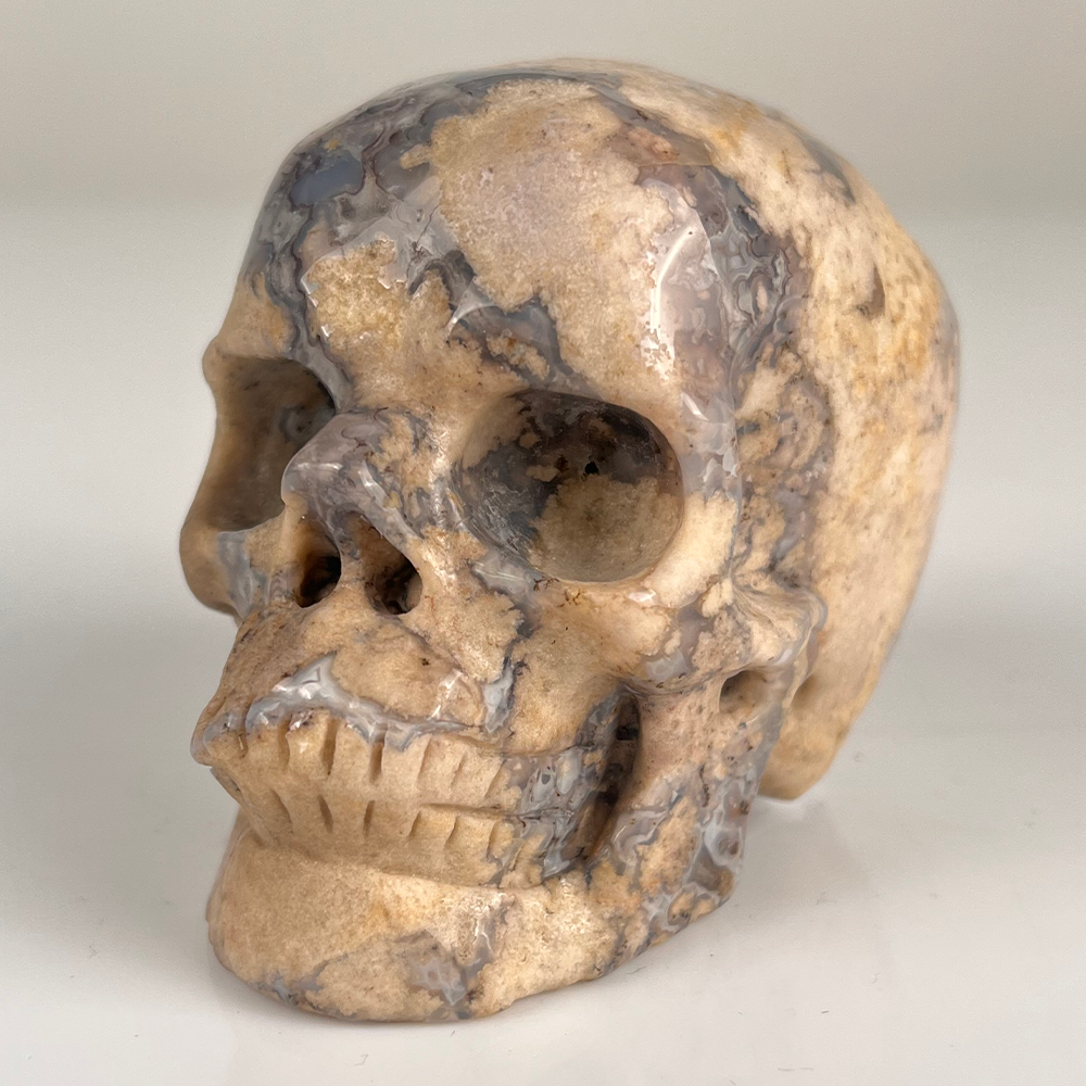 3 Inch Blue Flower Agate Crystal Skull — view 3