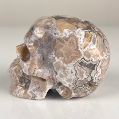3 Inch Blue Flower Agate Crystal Skull — view 5