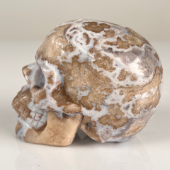 3 Inch Blue Flower Agate Crystal Skull — view 5