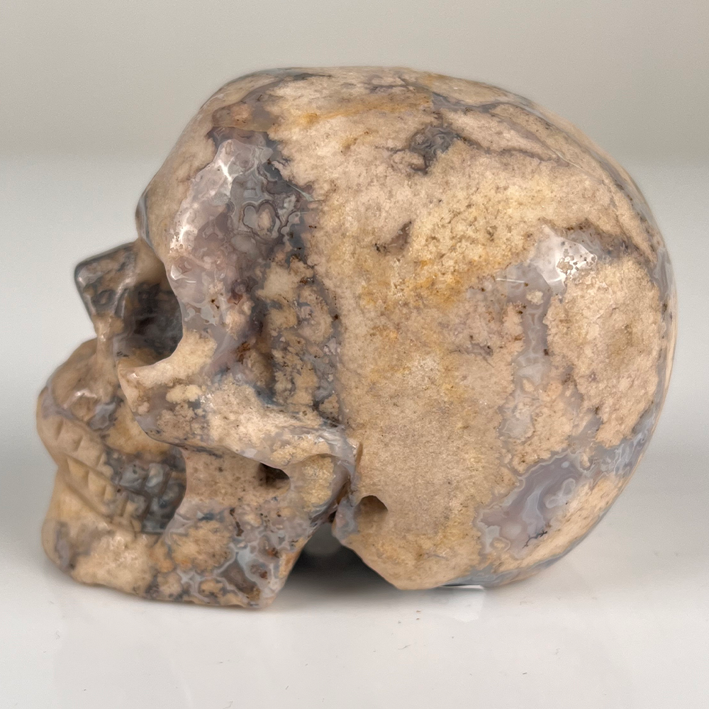 3 Inch Blue Flower Agate Crystal Skull — view 4