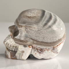 3 Inch Crazy Lace Agate Crystal Skull — view 5