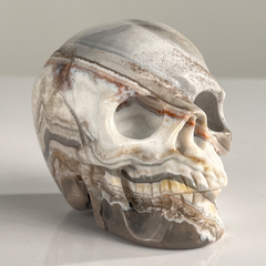 3 Inch Crazy Lace Agate Crystal Skull — view 2