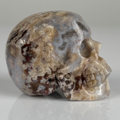 2 Inch Blue Flower Agate Crystal Skull – Skull — view 3
