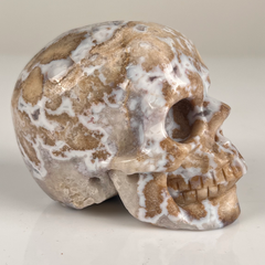 3 Inch Blue Flower Agate Crystal Skull — view 3