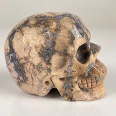 3 Inch Blue Flower Agate Crystal Skull — view 6