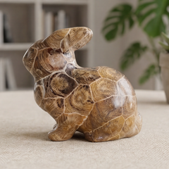 Coral Fossil Rabbit Carving – Natural Stone — view 6