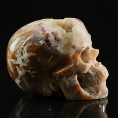 Yellow Chalcedony Geode Skull - Honey Gemstone — view 4