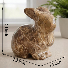 Coral Fossil Rabbit Carving – Natural Stone — view 2