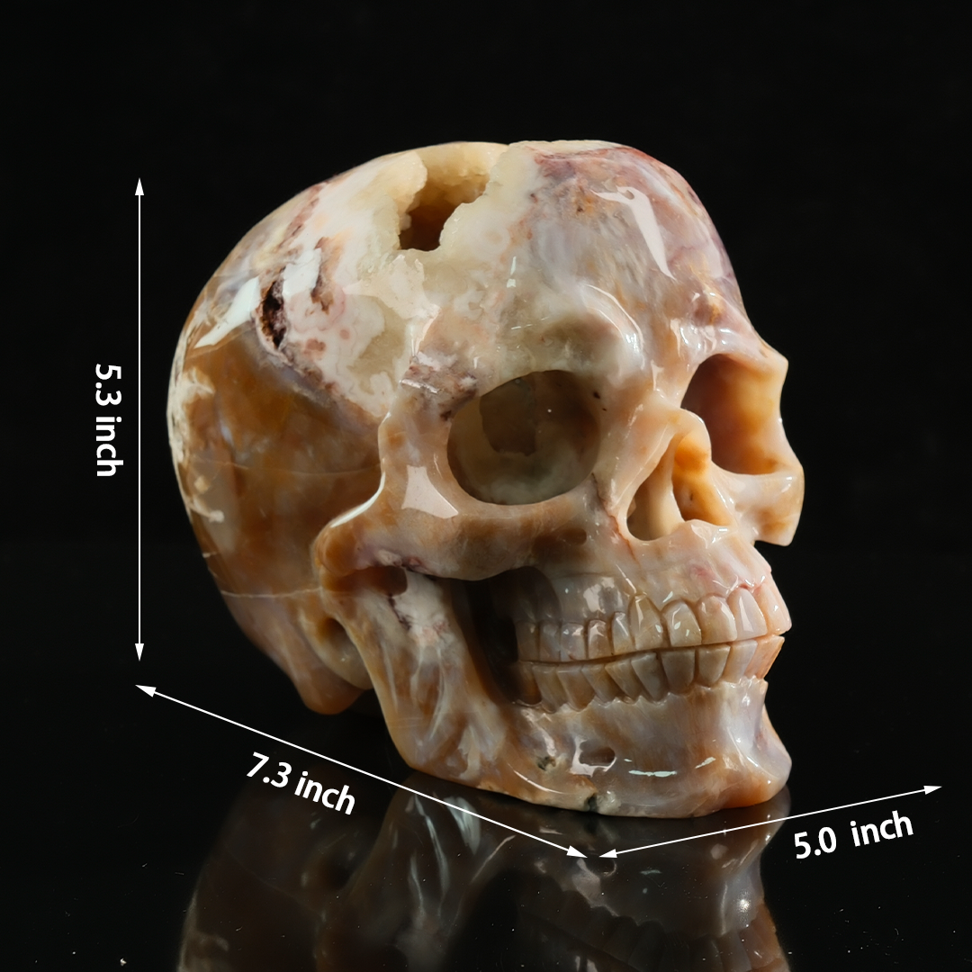 Yellow Chalcedony Geode Skull - Honey Gemstone — view 2