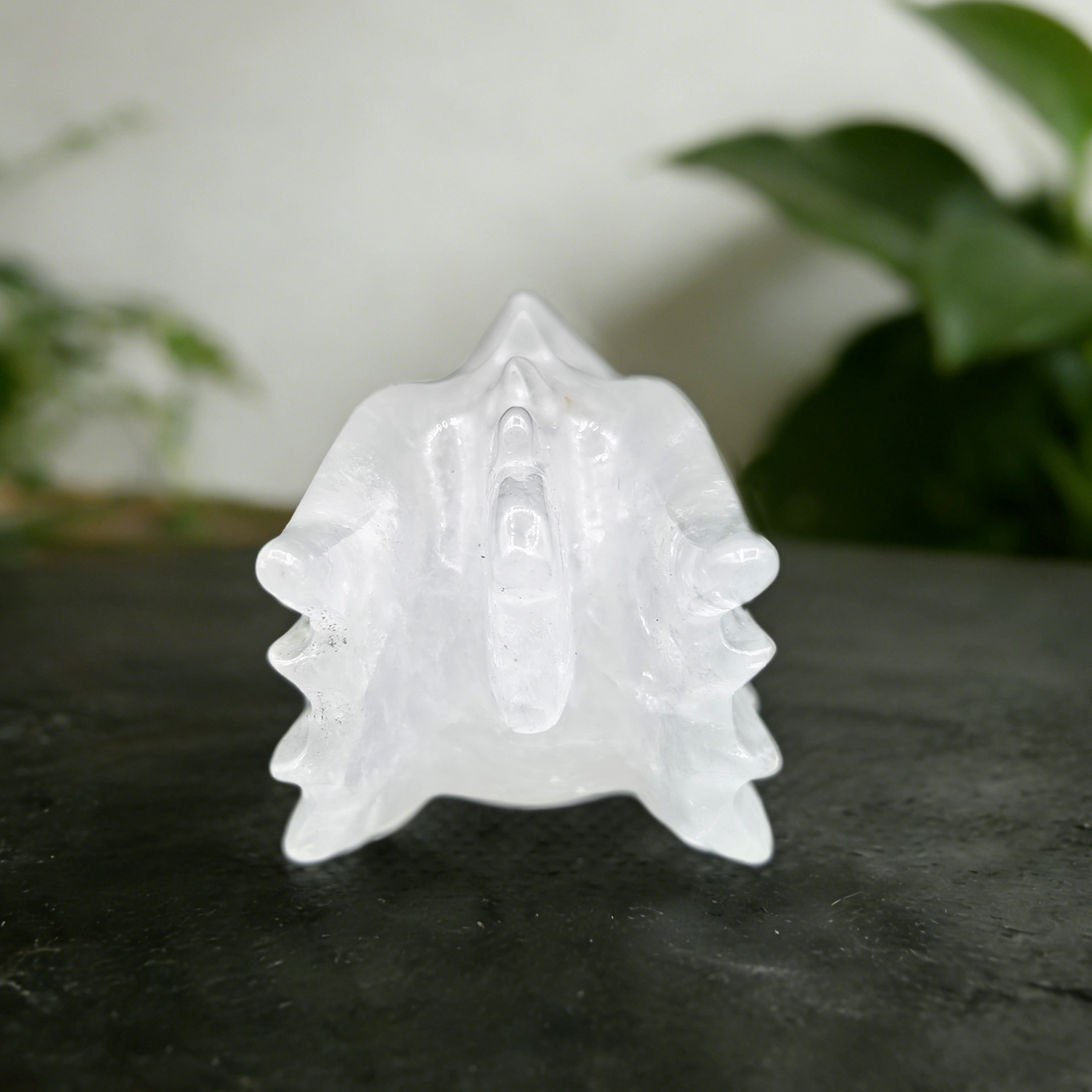 3.8 inch Angolan Quartz Chinese Dragon Skull - Natural Angolan Quartz Carving — view 4