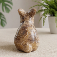 Coral Fossil Rabbit Carving – Natural Stone — view 5
