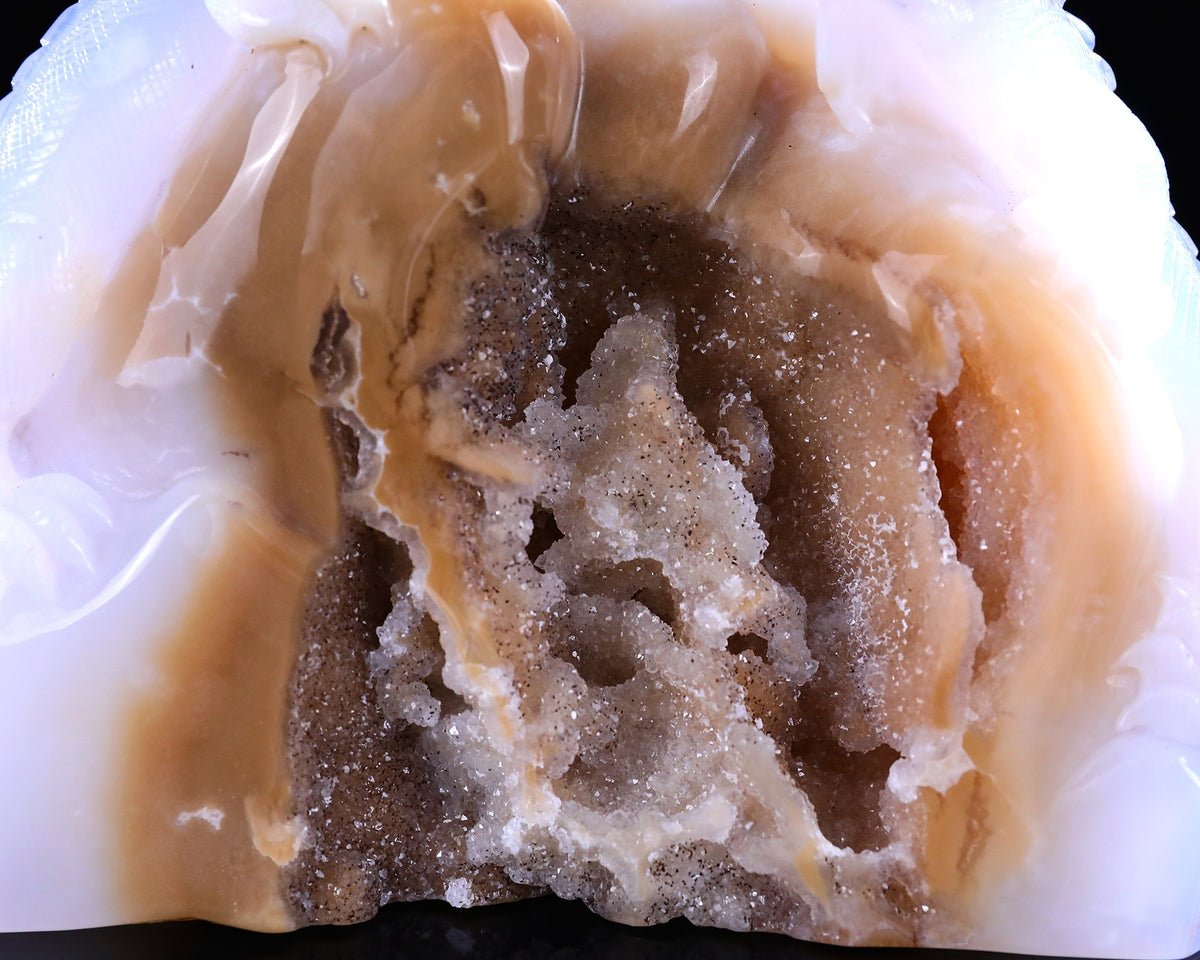 Blue Chalcedony Twin Lizards Geode