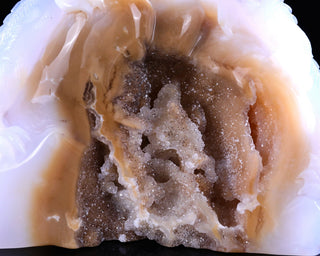 Blue Chalcedony Twin Lizards Geode