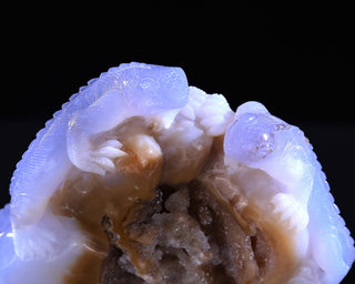 Blue Chalcedony Twin Lizards Geode