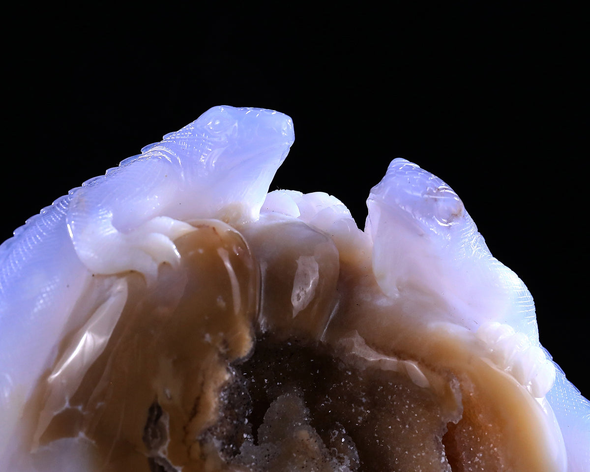 Blue Chalcedony Twin Lizards Geode