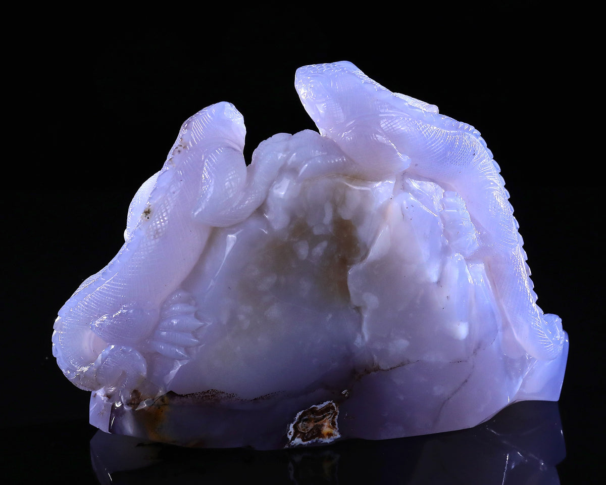 Blue Chalcedony Twin Lizards Geode