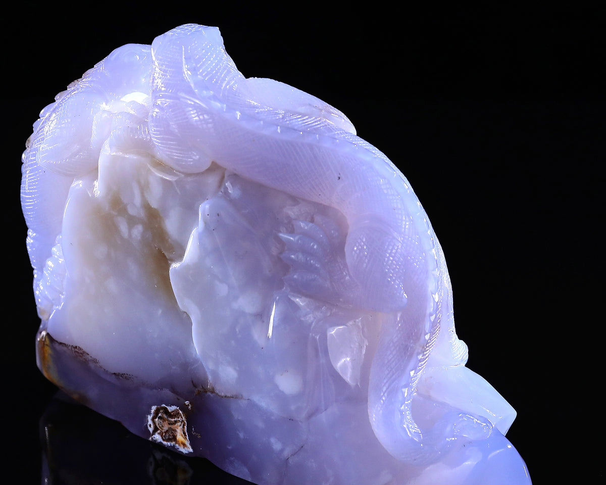 Blue Chalcedony Twin Lizards Geode