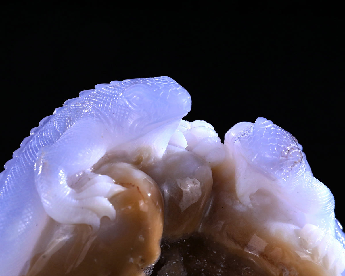 Blue Chalcedony Twin Lizards Geode