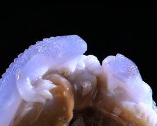 Blue Chalcedony Twin Lizards Geode